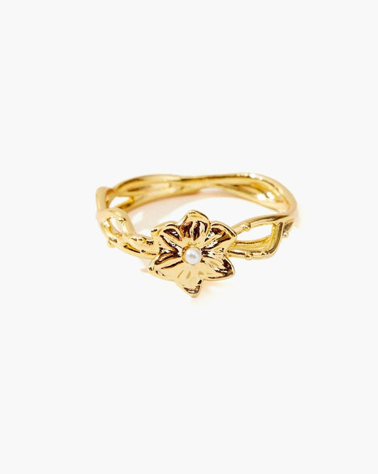 Anillo Victoria