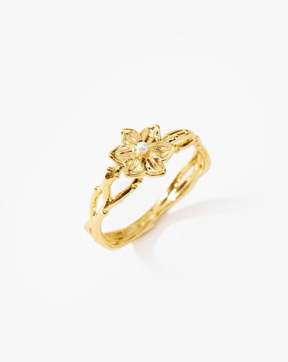 Anillo Victoria